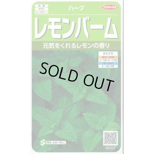 画像1: 送料無料　[ハーブの種]　レモンバーム　約700粒　(株)サカタのタネ　実咲（003193） (1)