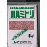 画像: [緑肥]　ハルミドリ　1kg　カネコ種苗(株)