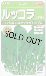 画像: 送料無料　[ハーブの種]　ロケット(ルッコラ)　約700粒　(株)サカタのタネ　実咲（003195）