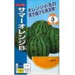 画像1: 送料無料　[スイカ]　小玉スイカ　サマーオレンジB　200粒　ナント種苗(株) (1)