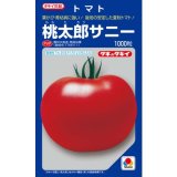 画像: 送料無料　[トマト/桃太郎系]　桃太郎　サニー　1000粒　貴種(コートしてません)　タキイ種苗(株)