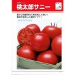 画像1: 送料無料　[トマト/桃太郎系]　桃太郎　サニー　1000粒　	2L　ペレット種子　タキイ種苗(株) (1)