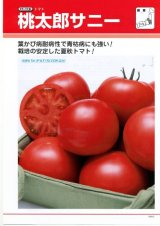 画像: 送料無料　[トマト/桃太郎系]　桃太郎　サニー　1000粒　	2L　ペレット種子　タキイ種苗(株)