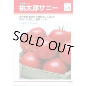 画像: 送料無料　[トマト/桃太郎系]　桃太郎　サニー　1000粒　	2L　ペレット種子　タキイ種苗(株)