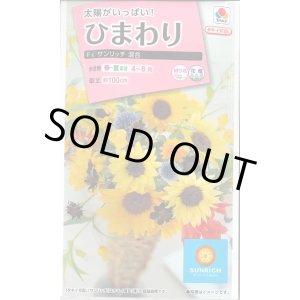 画像: 送料無料　花の種　ひまわり　サンリッチ混合　小袋　タキイ種苗(株)