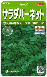 画像: 送料無料　[ハーブの種]　サラダバーネット　約60粒　(株)サカタのタネ　実咲（003188）