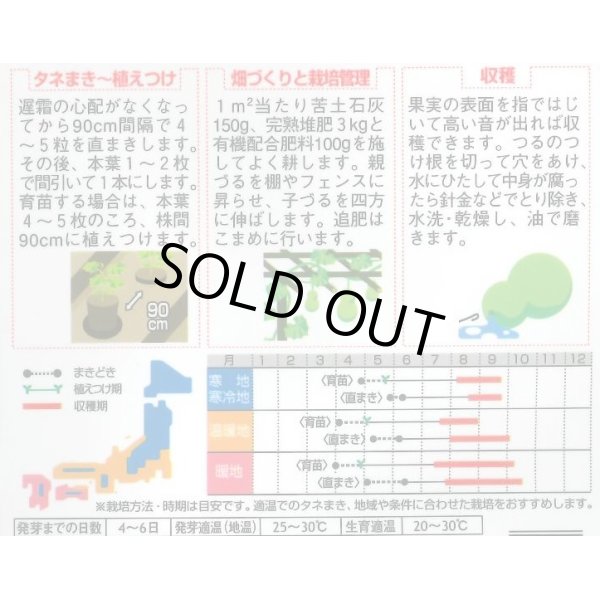 画像2: 送料無料　千成ひょうたん　約40粒　(株)サカタのタネ　実咲250（002862） (2)