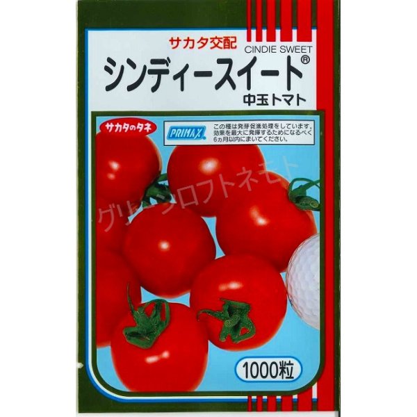 画像1: 送料無料　[トマト/中玉トマト]　シンディースイート　1000粒　(株)サカタのタネ (1)