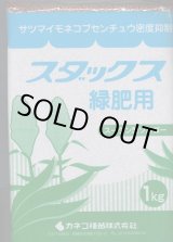 画像: [緑肥]　ソルガム　スダックス緑肥用(イネ科)　1kg　カネコ種苗(株)