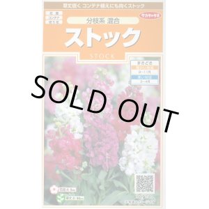 画像: 送料無料　花の種　ストック　分枝系混合　約22粒　(株)サカタのタネ　実咲200（026336）