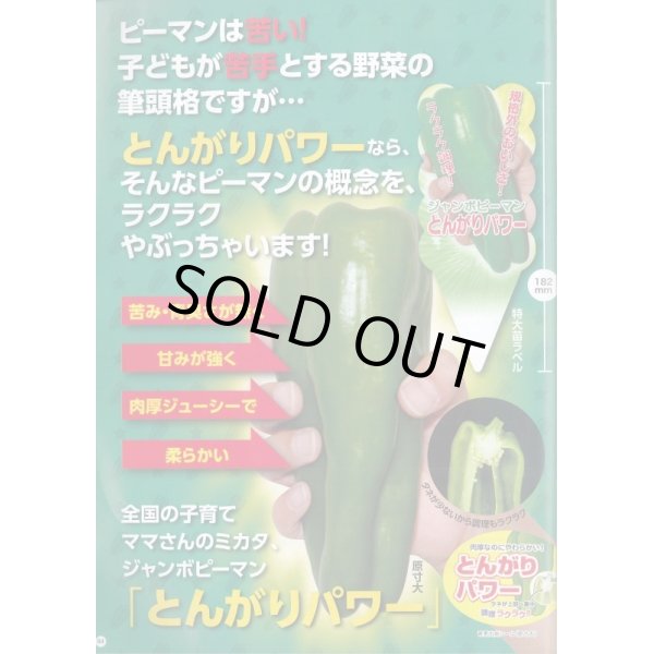 画像3: 送料無料　[ピーマン]　とんがりパワー　500粒　ナント種苗(株) (3)