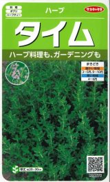 画像: 送料無料　[ハーブの種]　タイム　約1500粒　(株)サカタのタネ　実咲（003183）