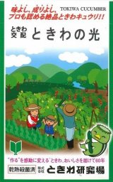 画像: 送料無料　[キュウリ]　ときわの光　20粒　(株)(株)ときわ研究場