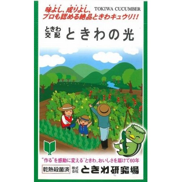 画像1: 送料無料　[キュウリ]　ときわの光　20粒　(株)(株)ときわ研究場 (1)