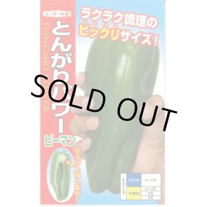 画像: 送料無料　[ピーマン]　とんがりパワー　20粒　ナント種苗(株)