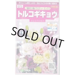 画像: 送料無料　花の種　トルコギキョウ　八重咲き大輪バラエティミックス　約40粒　　(株)サカタのタネ　実咲350（026121）