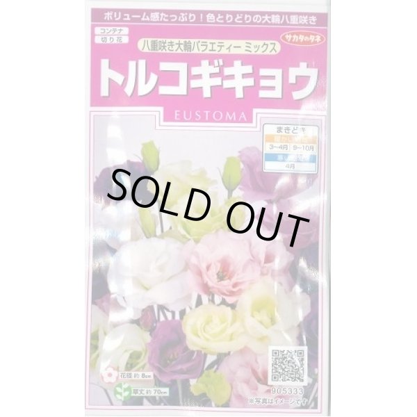 画像1: 送料無料　花の種　トルコギキョウ　八重咲き大輪バラエティミックス　約40粒　　(株)サカタのタネ　実咲350（026121） (1)