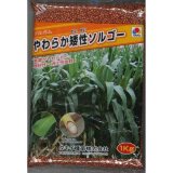 画像: [緑肥]　やわらか矮性ソルゴー　1kg　タキイ種苗(株)