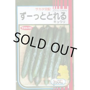 画像: 送料無料　[キュウリ]　ずーっととれる　350粒　(株)サカタのタネ