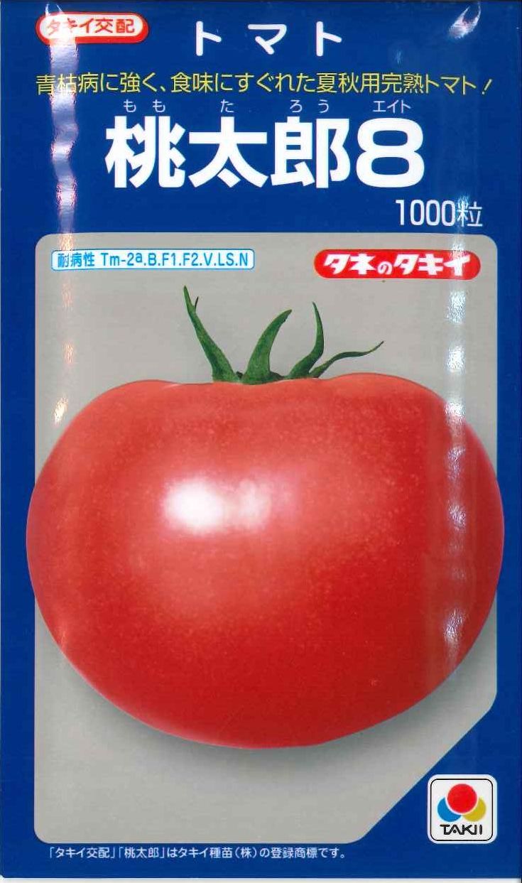 [トマト/桃太郎系]　送料無料！　送料無料！　桃太郎８　1000粒 貴種（コートしてません）　タキイ種苗（株）