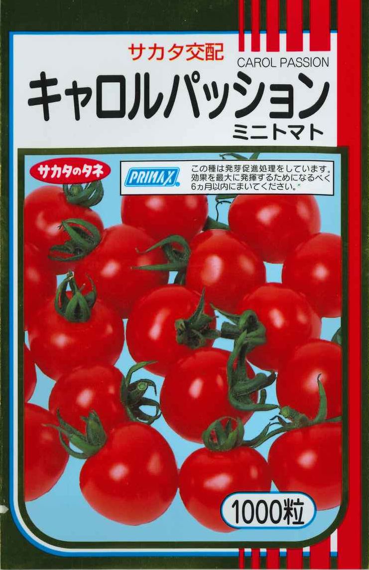 [トマト/ミニトマト]　送料無料！　キャロルパッション　1000粒　サカタのタネ（株）