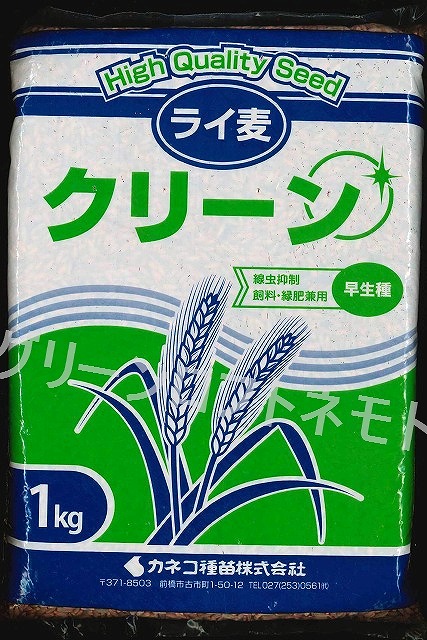 緑肥] ライ麦 クリーン 1kg カネコ種苗(株）(緑肥 燕麦（エンバク