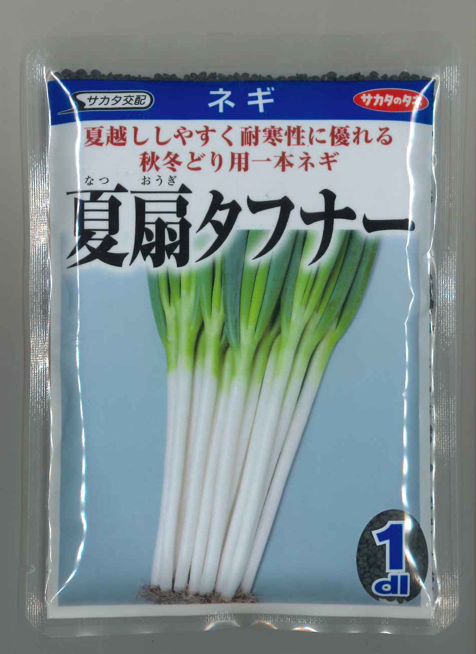 野菜の種 種子 夏扇4号 ねぎ ペレット6000粒（大袋）サカタの