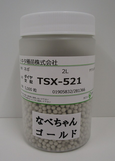 [ねぎ]　なべちゃんゴールド葱 コート5000粒 トキタ種苗（株）