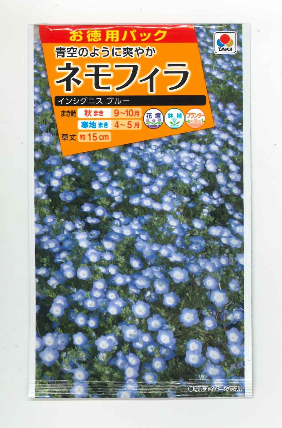 花の種 お徳用パック！ネモフィラ インシグニスブルー 5ｍｌ タキイ