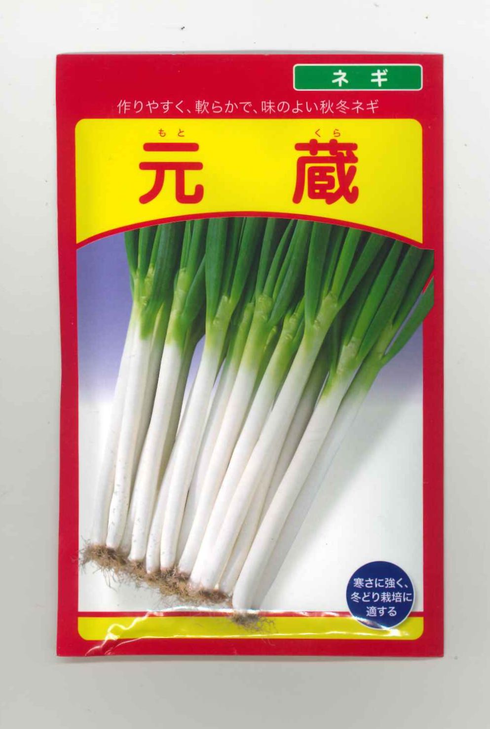 ねぎ] 元蔵 20ml 武蔵野種苗園(野菜種/ネギ)グリーンロフトネモト直営