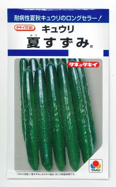 キュウリ] 夏すずみ 15粒 タキイ種苗（株） DF (野菜種/キュウリ