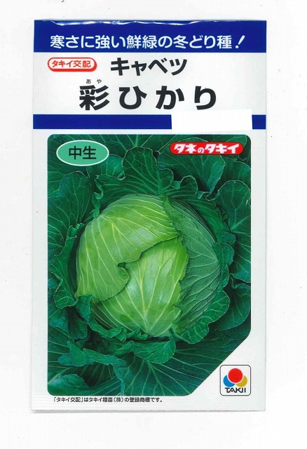 野菜種　キャベツ　彩ひかり　1.2ml（約140粒）　タキイ種苗（株）　ＤＦ