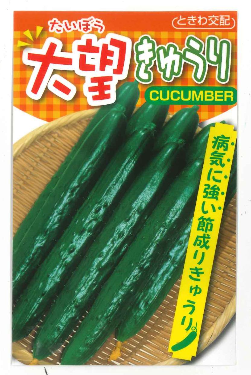 送料無料 [キュウリ] 大望 20粒 (株)ときわ研究場(野菜種/キュウリ)グリーンロフトネモト直営