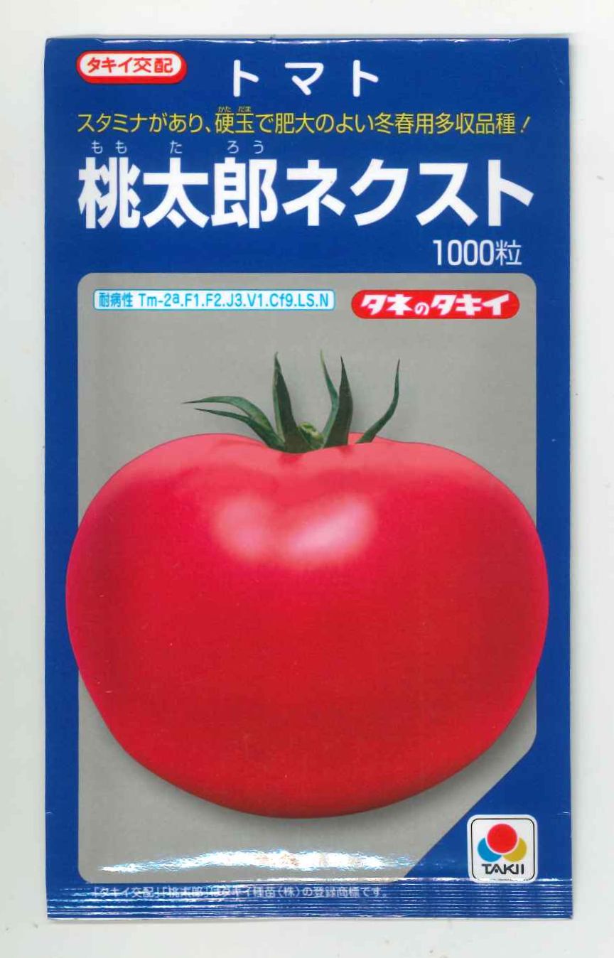 トマト/桃太郎系] 桃太郎ネクスト 1000粒 タキイ種苗（株）(野菜種