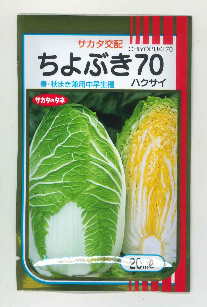 [白菜]　ちよぶき70　20ml　 サカタのタネ