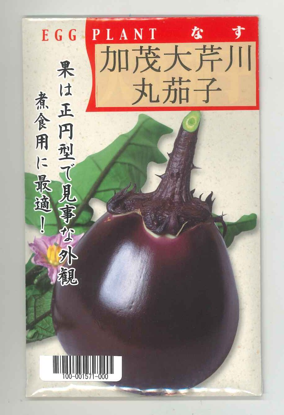 生野菜丸い小さいなす5kg - 食品