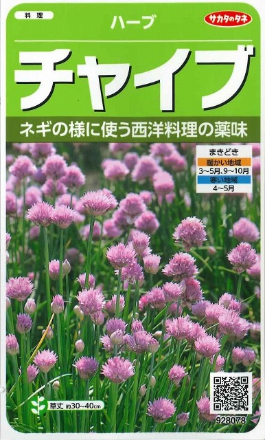 ハーブの種] チャイブ 約250粒 サカタのタネ 実咲(ハーブの種